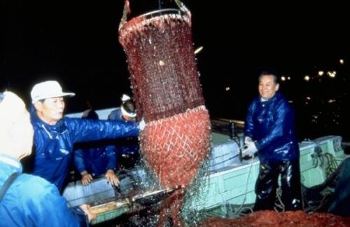 由比漁港（由比港漁業協同組合）