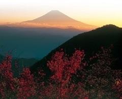 安倍峠（ハイキングコース）