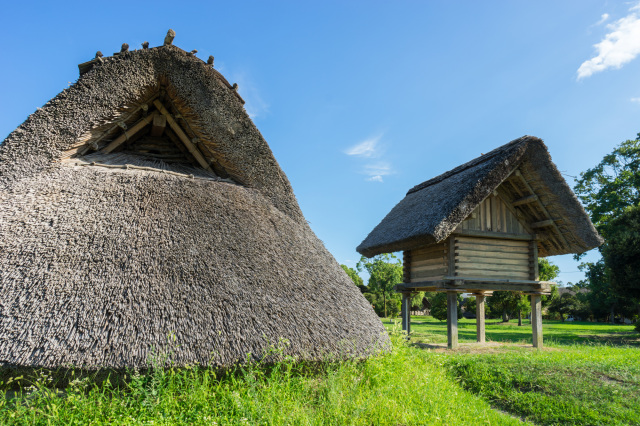 登呂遺跡／静岡市立登呂博物館