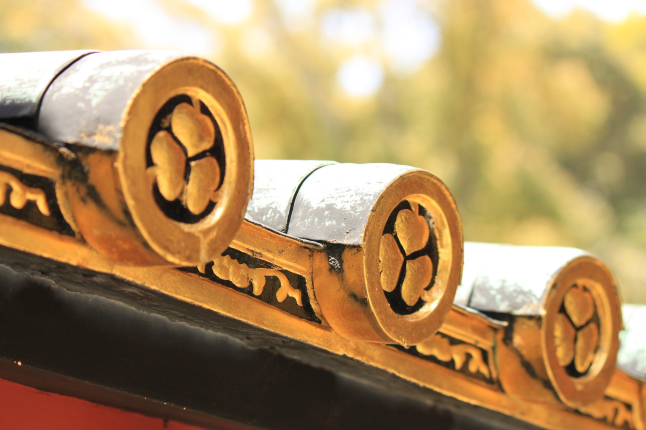 三つ葉葵（徳川氏の家紋）