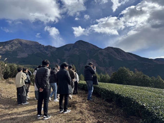 丸福製茶