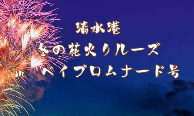 清水港 冬の花火クルーズ